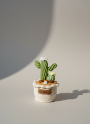 Cactus Pot - The Desert Zen