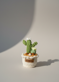 Cactus Pot - The Desert Zen