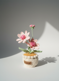 Cosmos - The Peaceful Garden