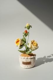 Rose - The Timeless Romance