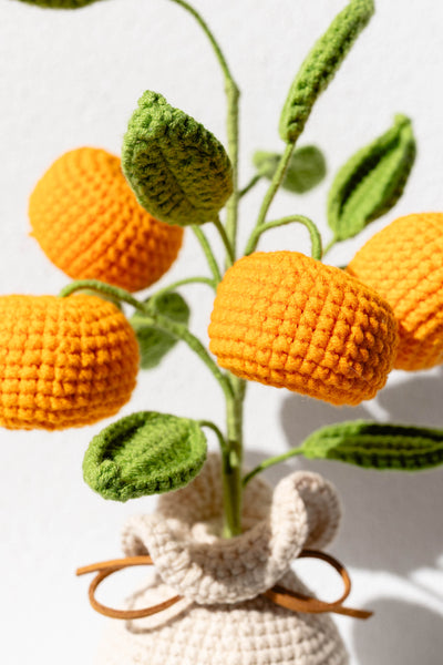 Mandarins - The Citrus Joy