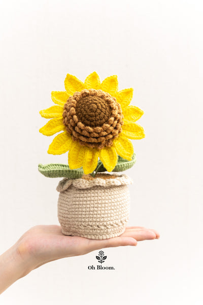 Chunky Sunflower Pot