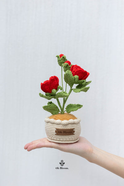 Rose Pot