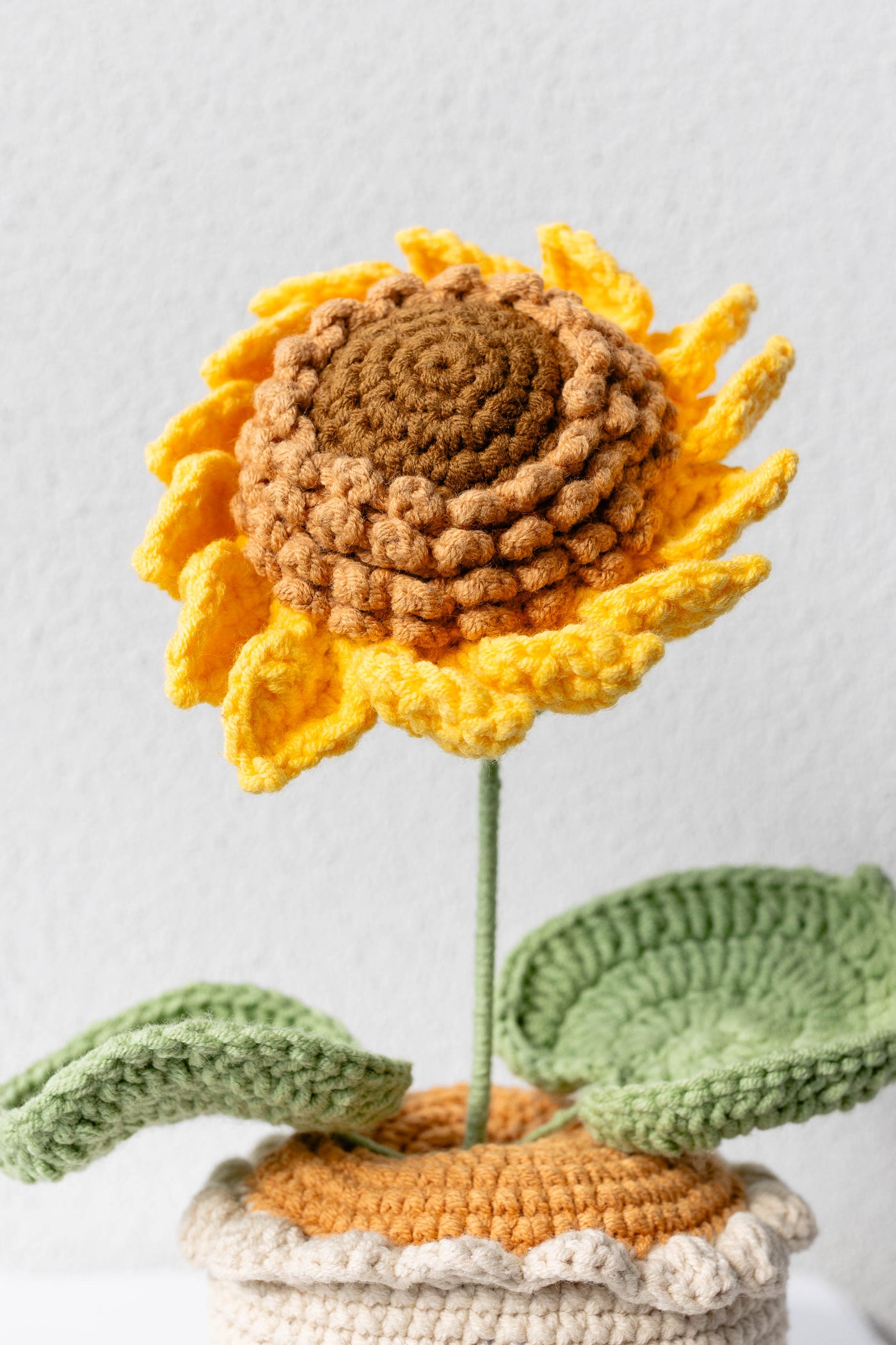 Sunflower - The Eternal Sunshine