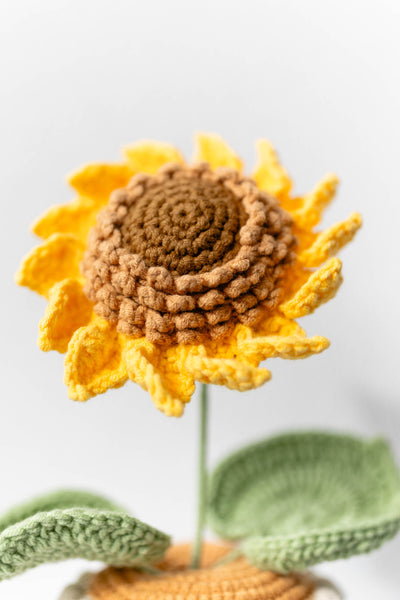 Sunflower - The Eternal Sunshine