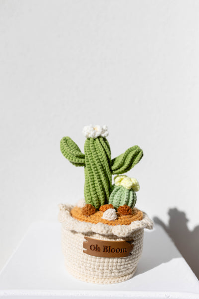 Cactus Pot - The Desert Zen