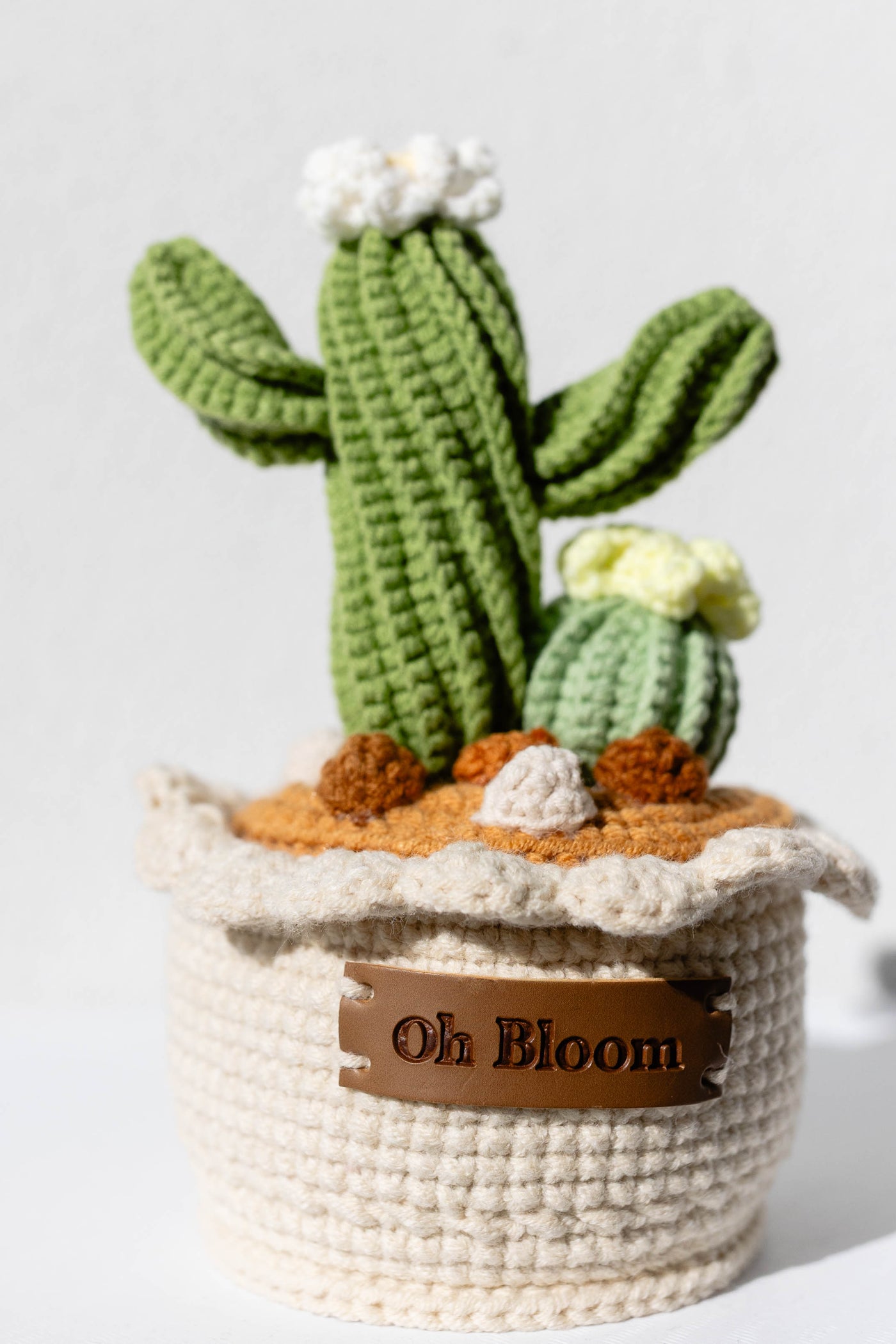 Cactus Pot - The Desert Zen