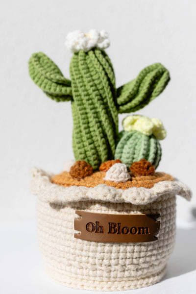 Cactus Pot - The Desert Zen