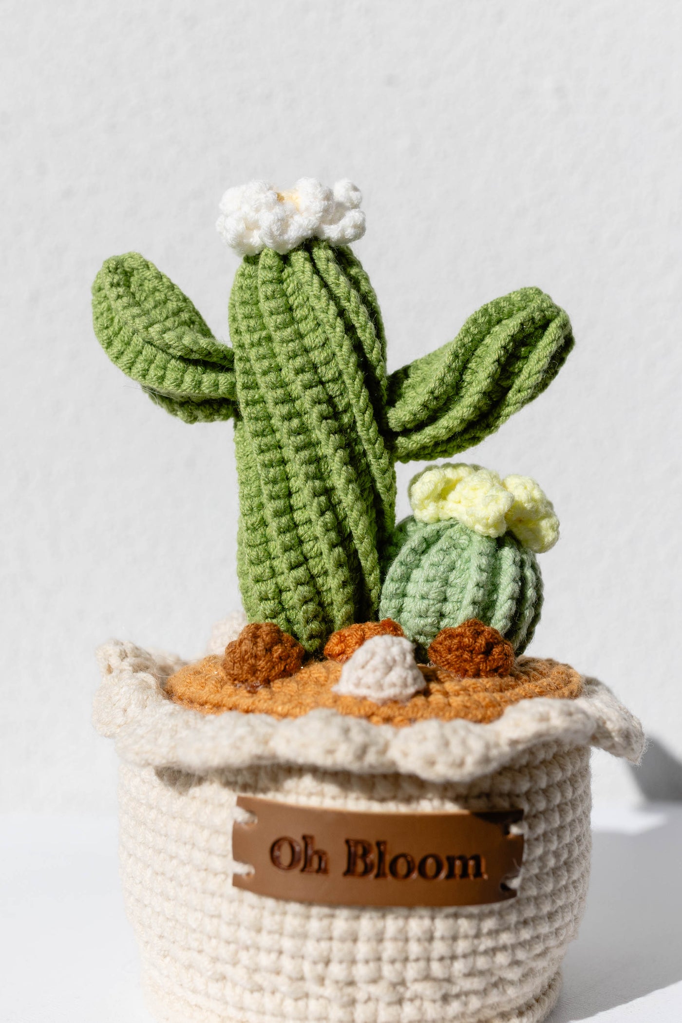 Cactus Pot - The Desert Zen