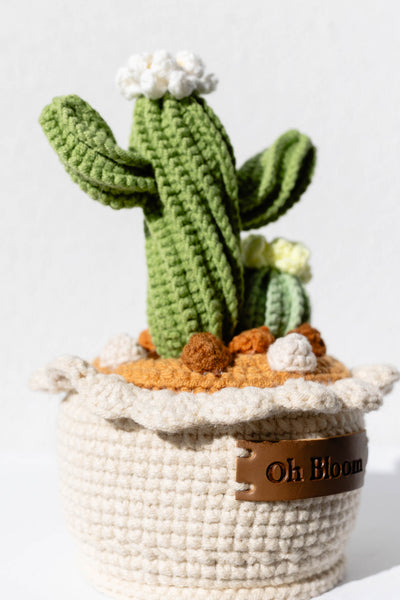 Cactus Pot - The Desert Zen