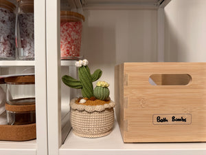 image of cactus pot in bathroom