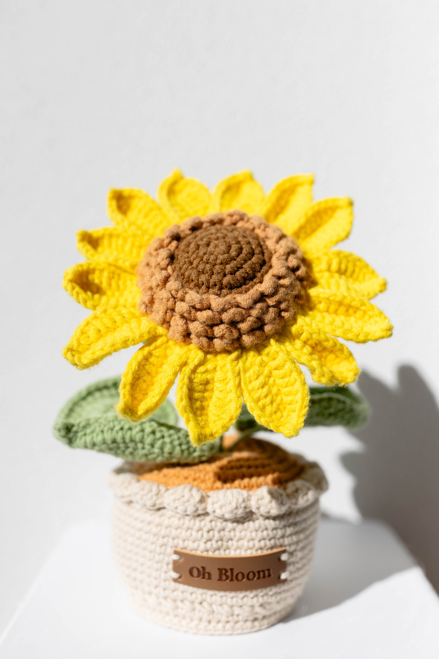 Sunshine Duo Bundle - Two Sunflowers