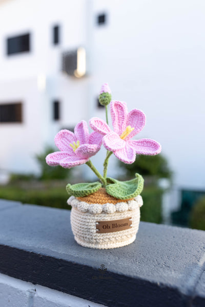 Crochet Tung Flower Pot In sunset
