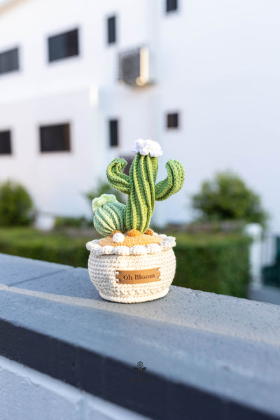 Crochet Cactus Pot In sunset