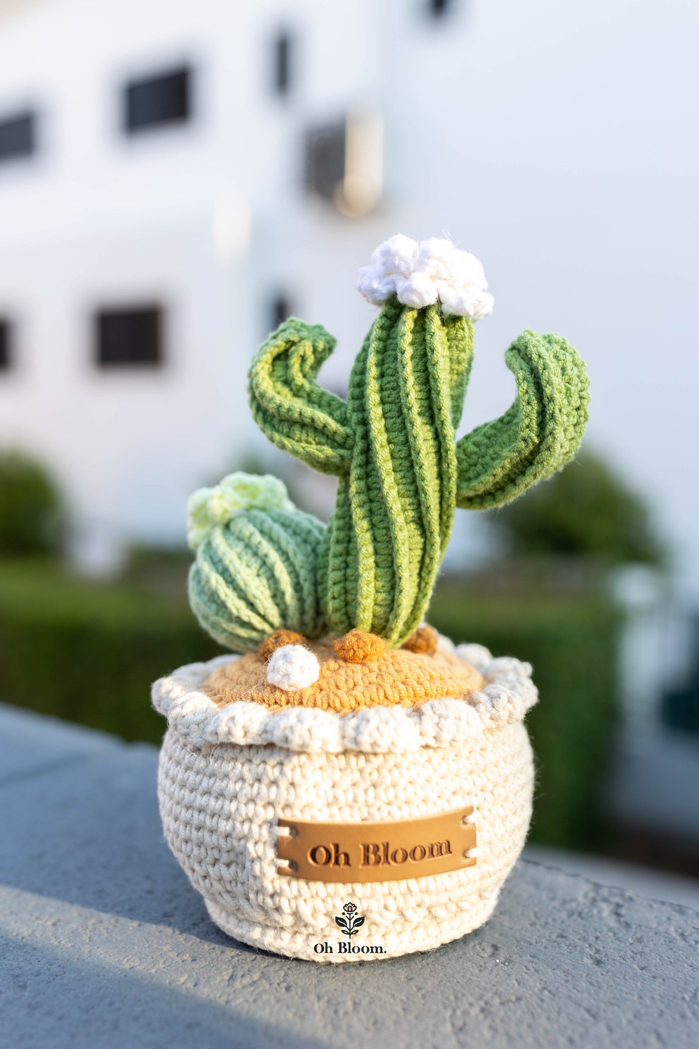 Crochet Cactus Pot In sunset