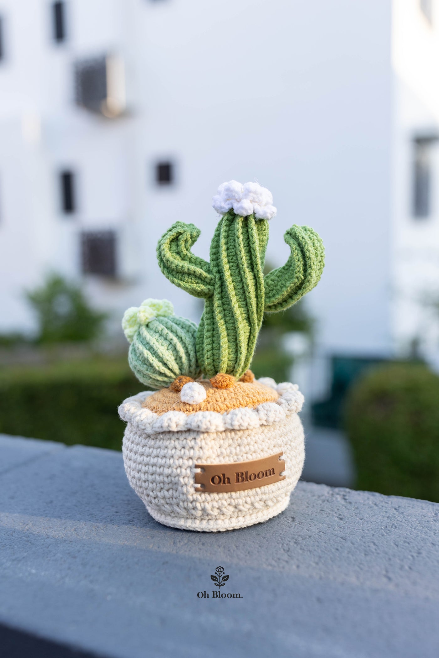 Crochet Cactus Pot In sunset