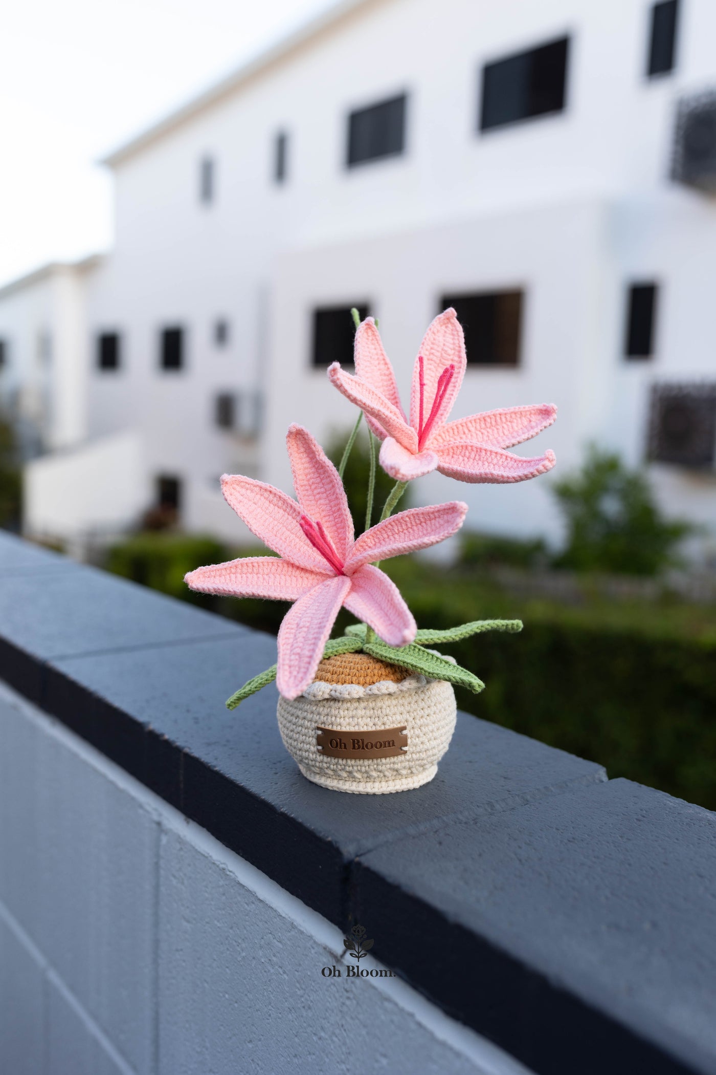 Lily Pot