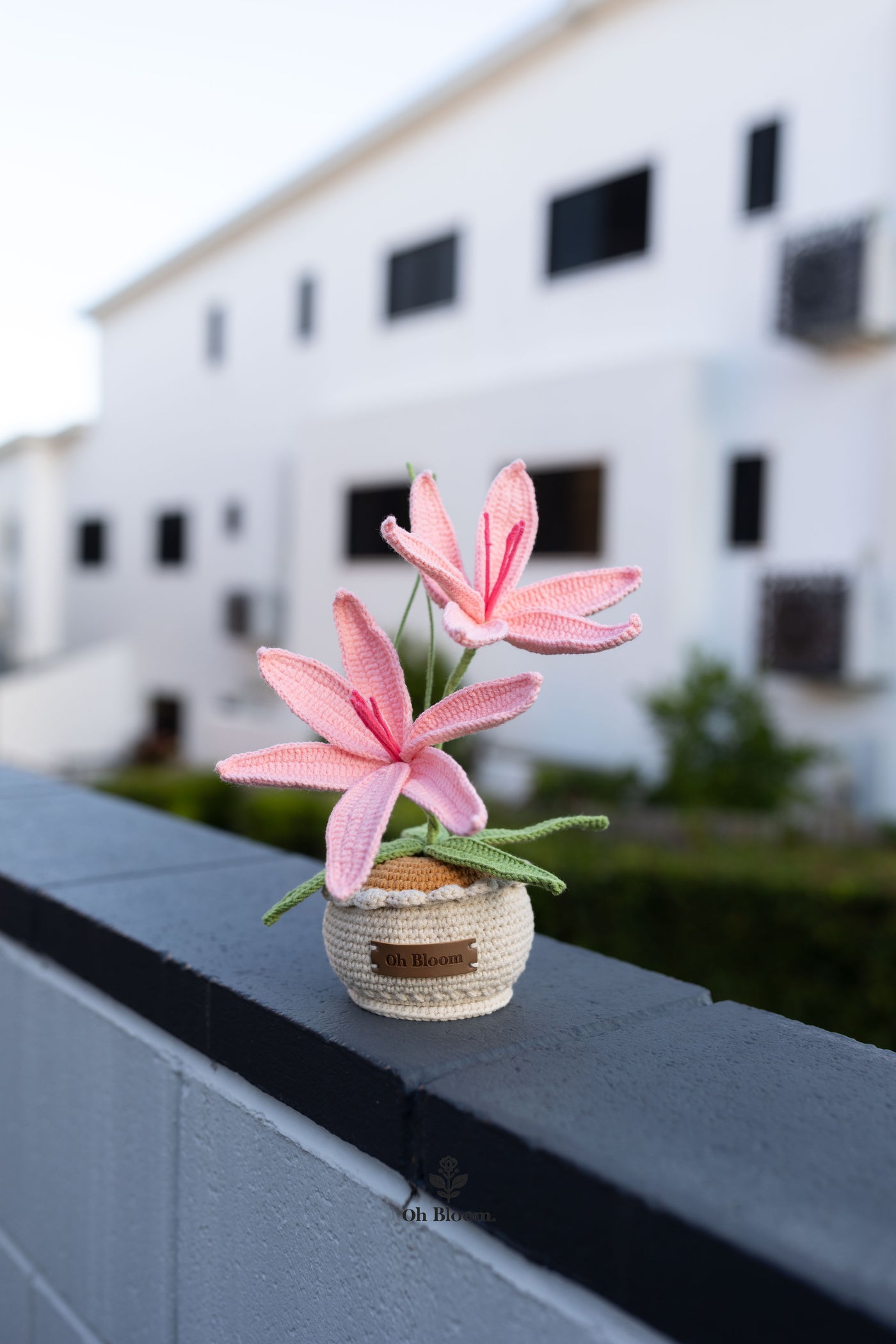 Lily Pot