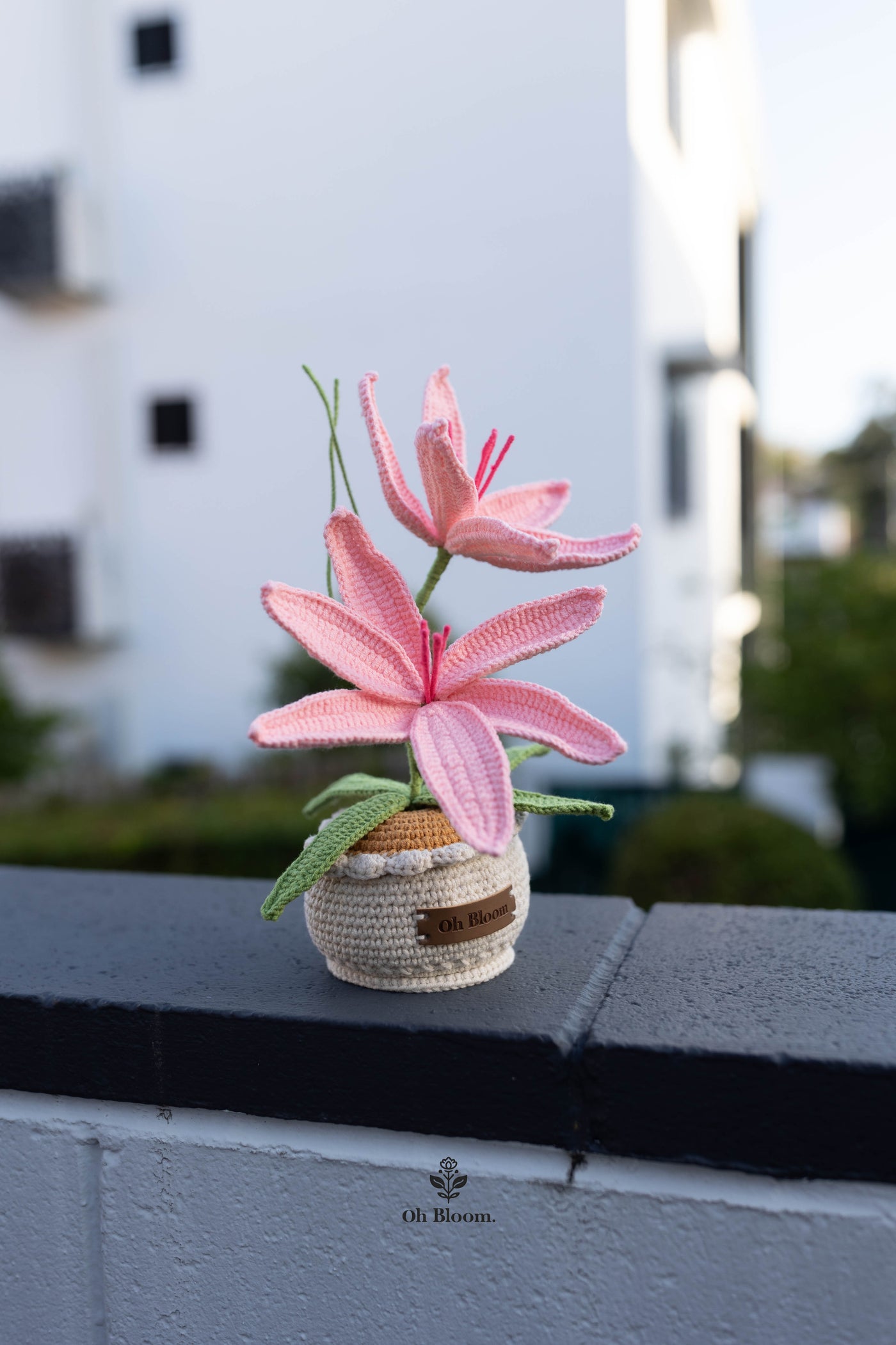 Lily Pot