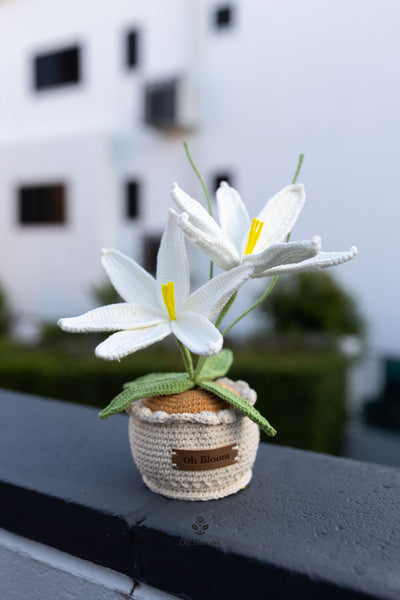 Lily Pot