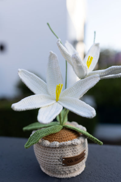 Lily Pot