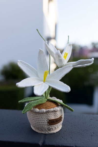 Lily Pot