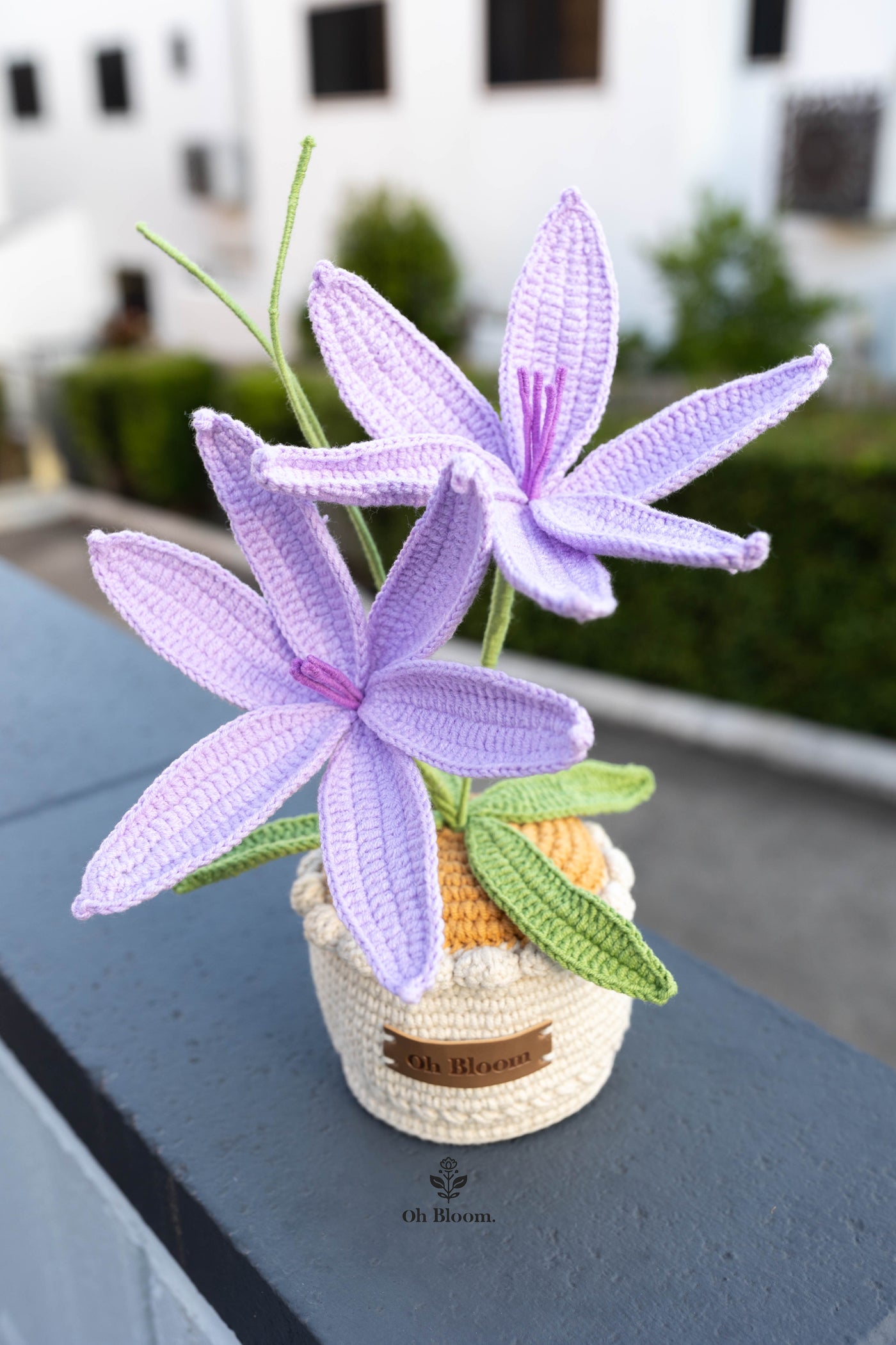 Lily Pot