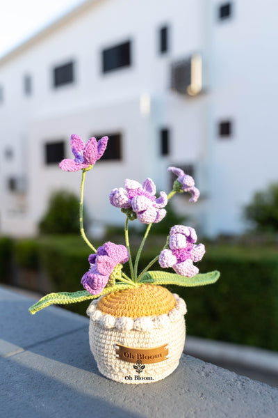 Crochet Rain Lily Pot In sunset
