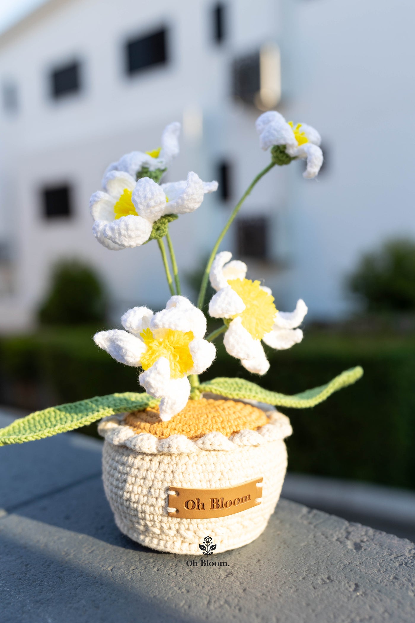 Crochet Rain Lily Pot In sunset
