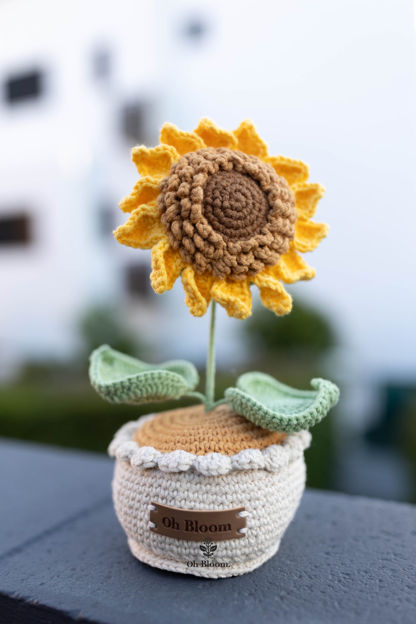 Sunflower Pot