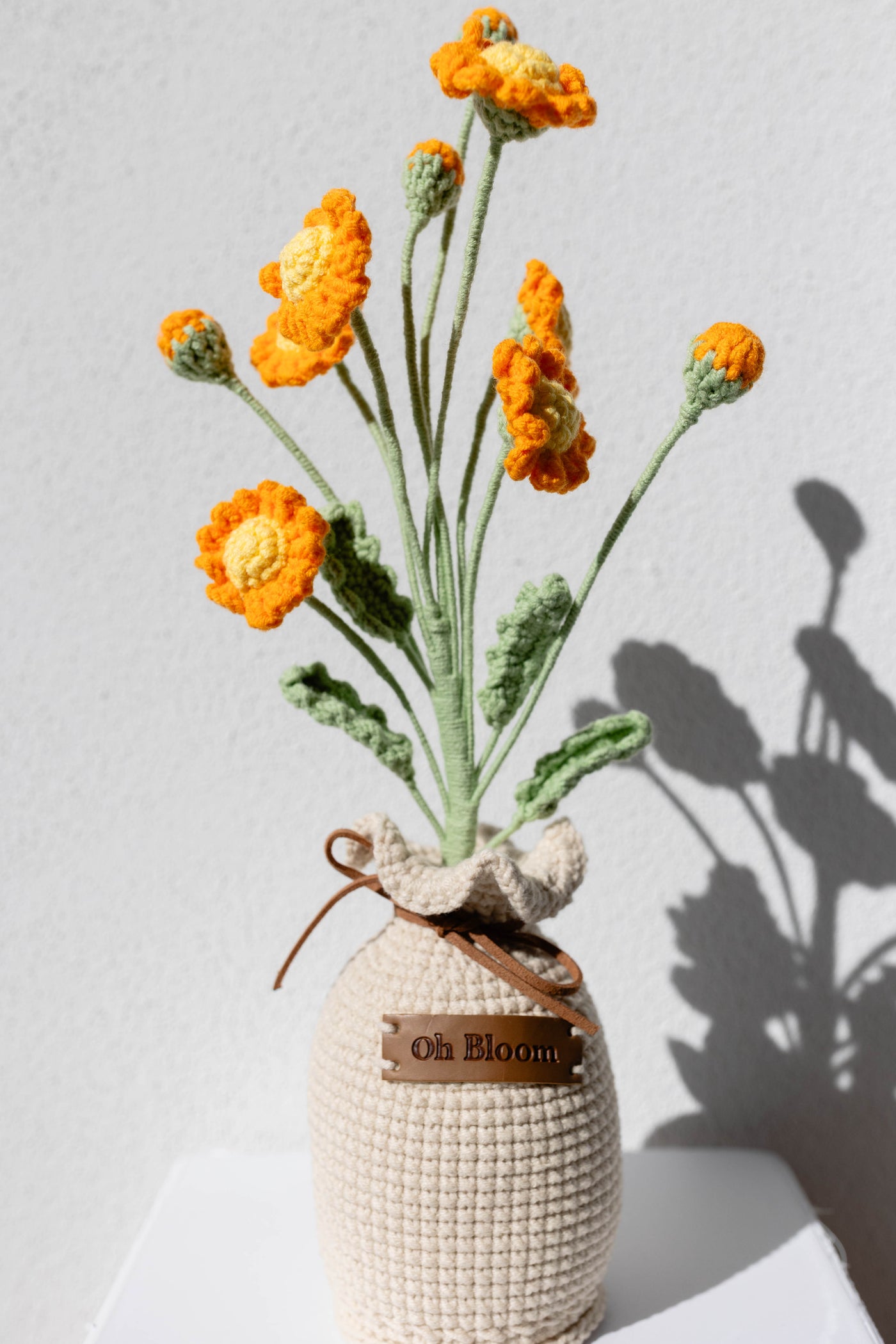 Daisy - The Cheerful Mornings