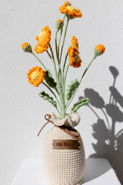Daisy - The Cheerful Mornings
