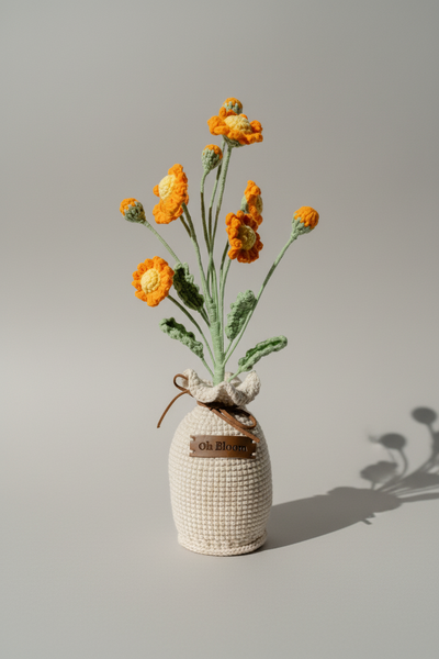 Daisy - The Cheerful Mornings