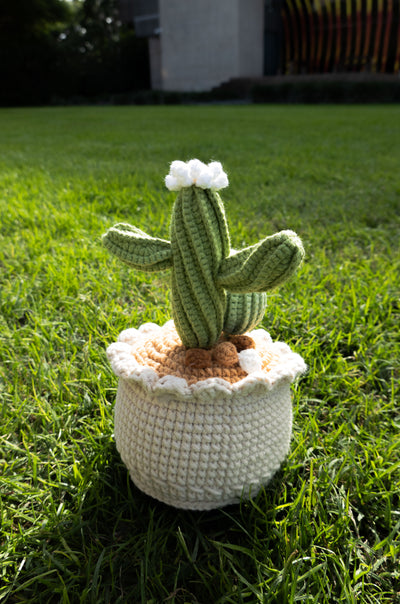 handmade-crochet-cactus10