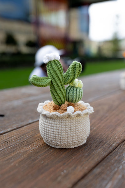 handmade-crochet-cactus8