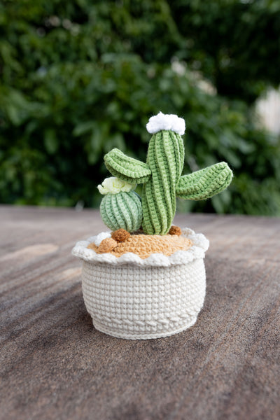 handmade-crochet-cactus9