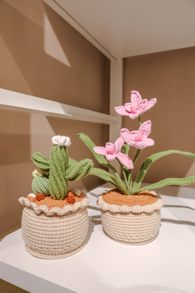 handmade-crochet-orchid2 and cactus