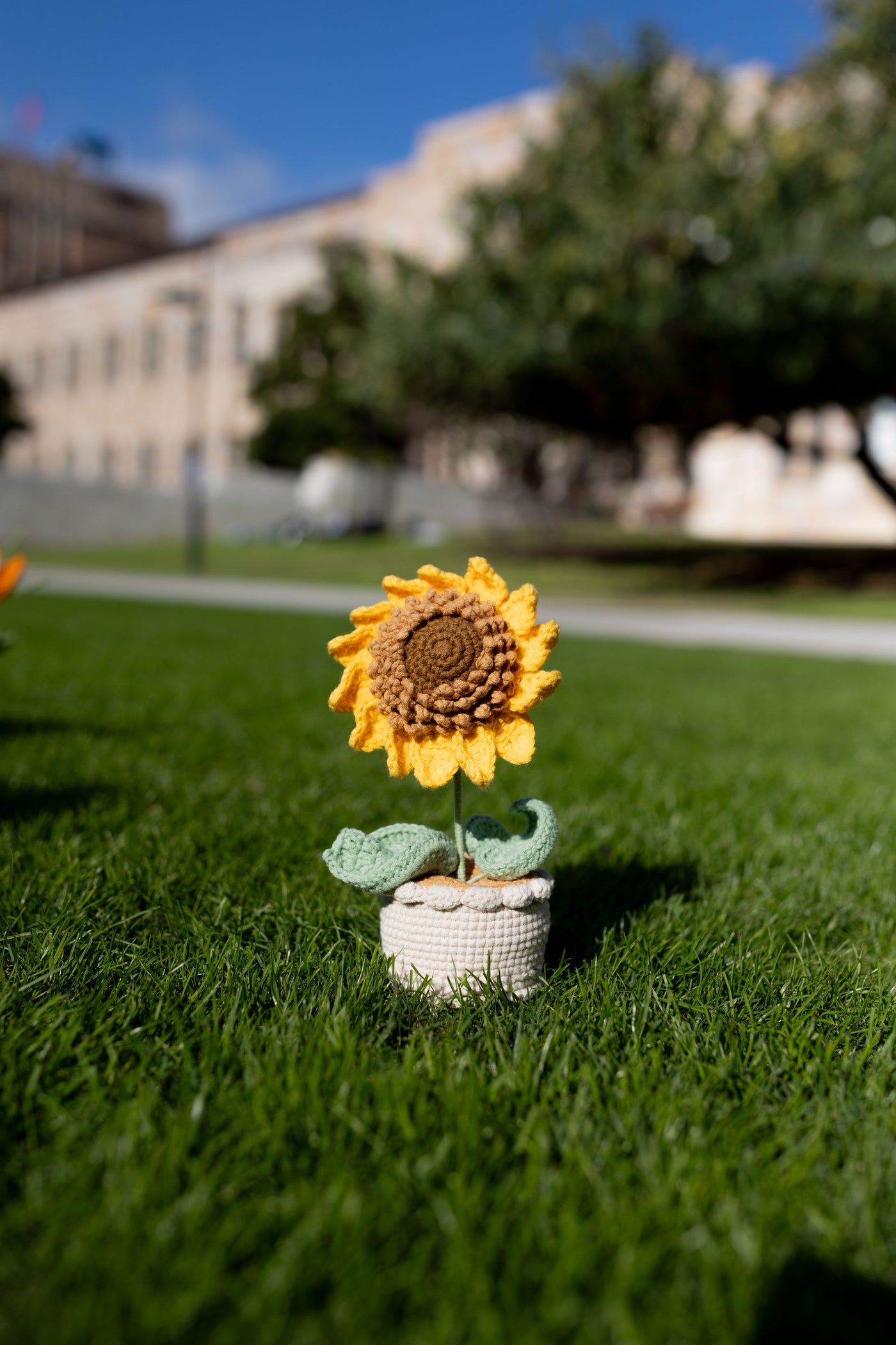 handmade-crochet-sunflower