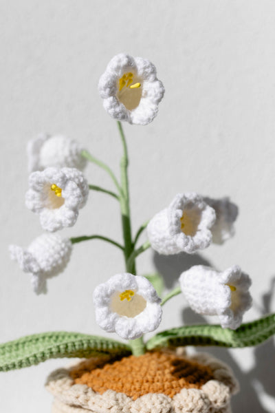 Lily of the valley - Heaven's Tears