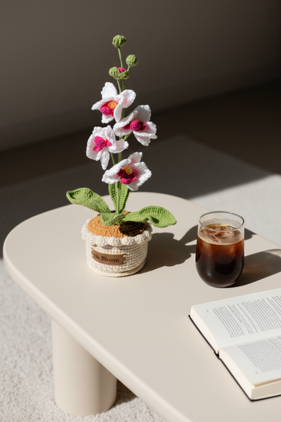 Moth Orchid - The Elegant Serenity