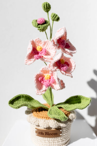 Knitted pink flower arrangement in a pot with 'Oh Bloom' label on a white background
