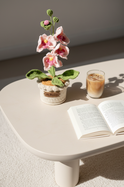 Moth Orchid - The Elegant Serenity