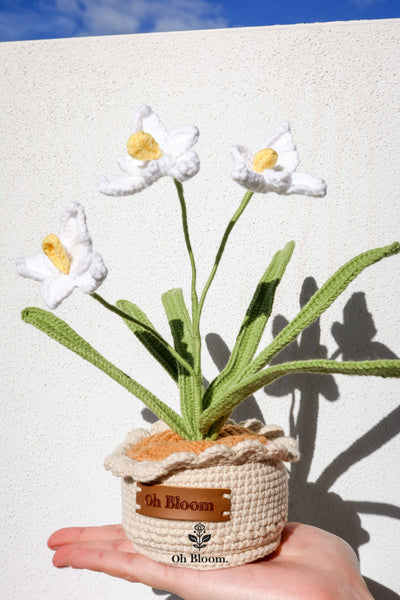 Orchid Pot