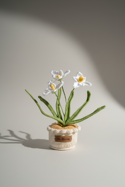 Orchid - The Graceful Sanctuary