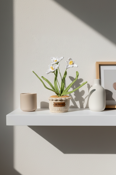 Orchid - The Graceful Sanctuary