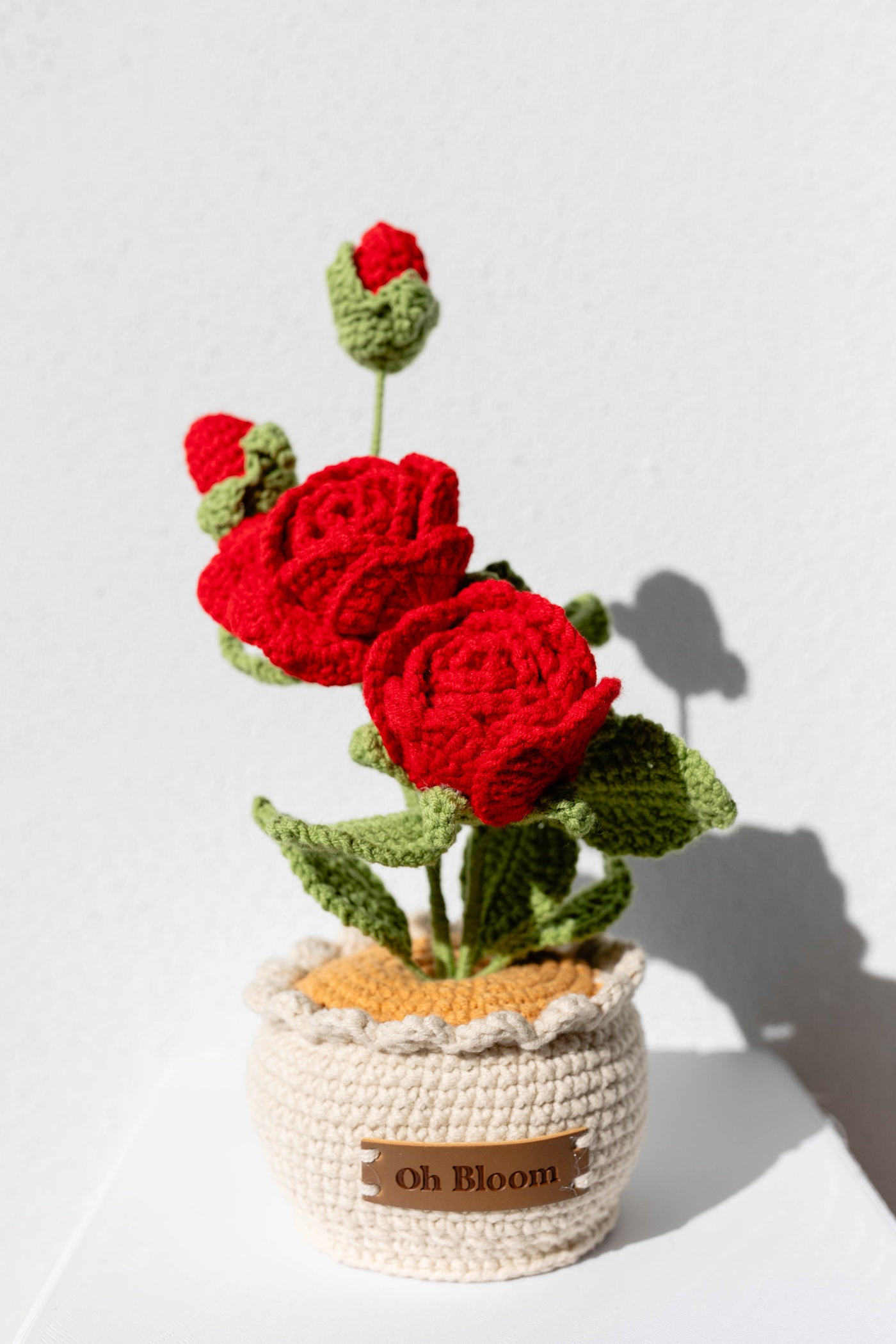 Rose - The Timeless Romance