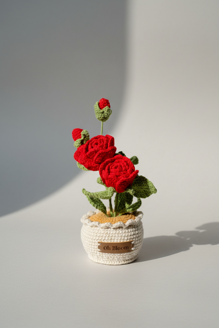 Rose - The Timeless Romance
