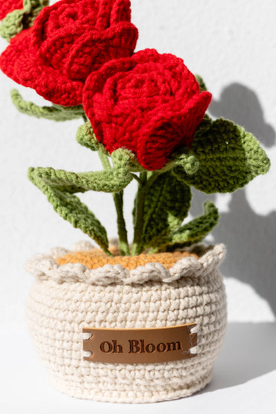 Rose - The Timeless Romance