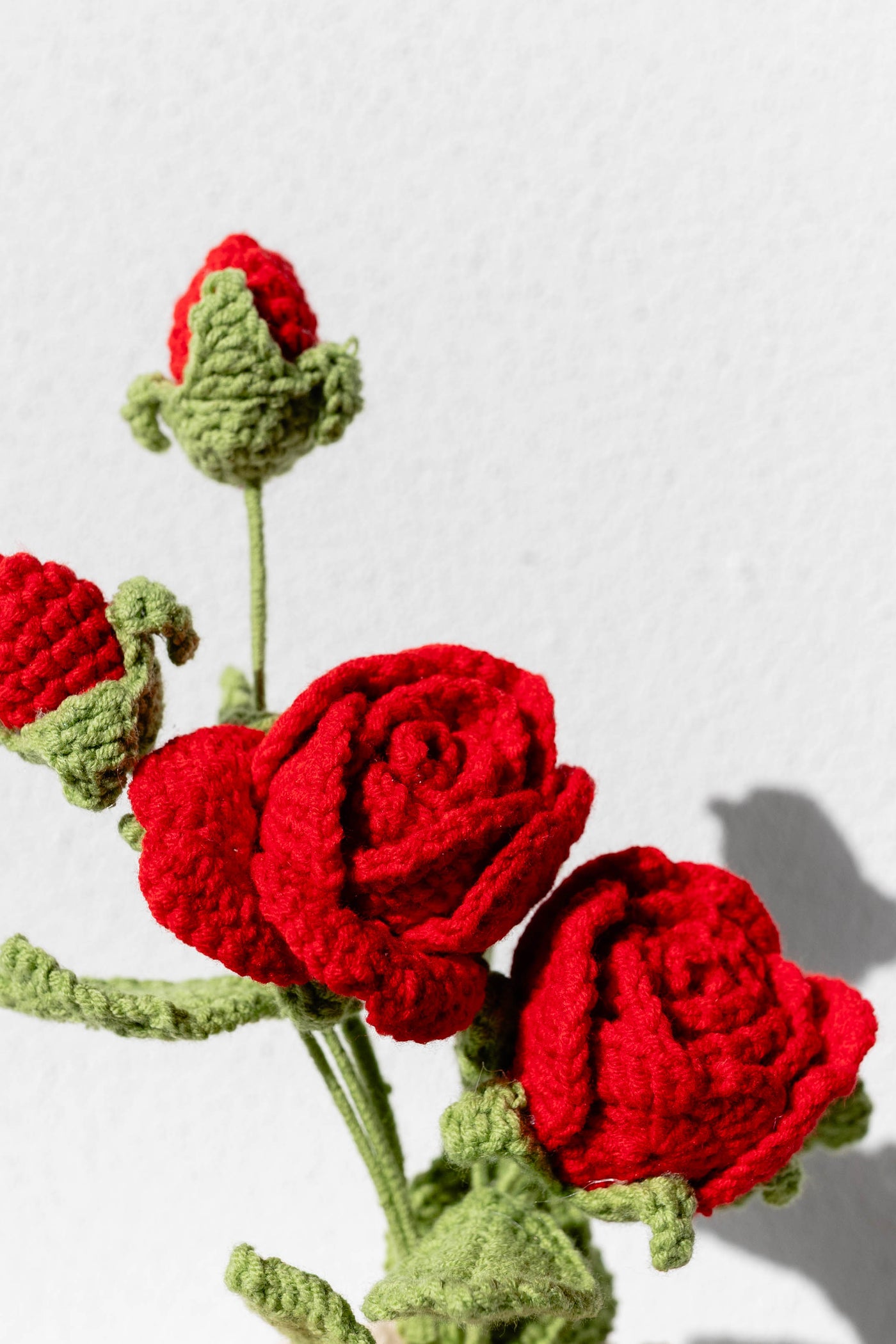 Rose - The Timeless Romance