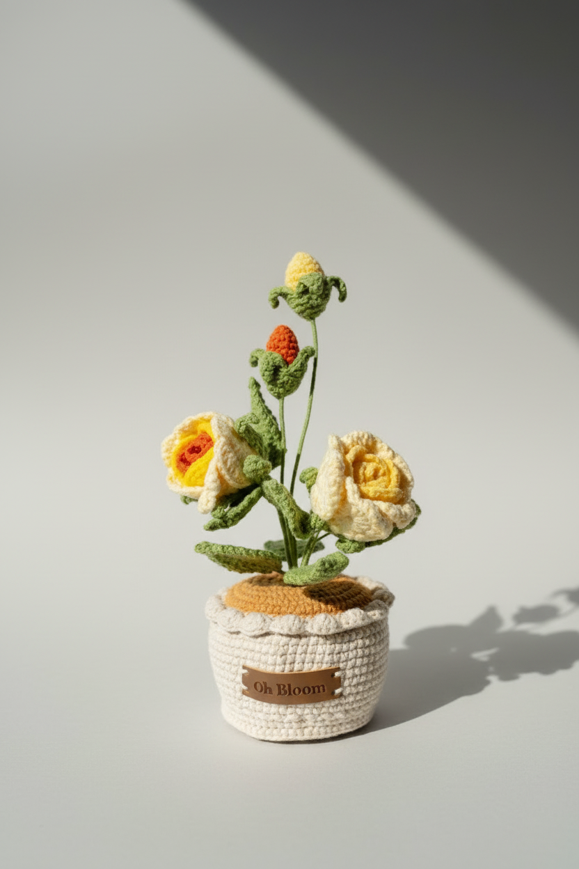 Bloom Pots – Oh Bloom
